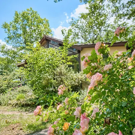 Rapiette * Salignac Eyvigues