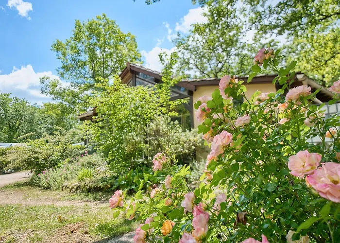 Rapiette * Salignac Eyvigues